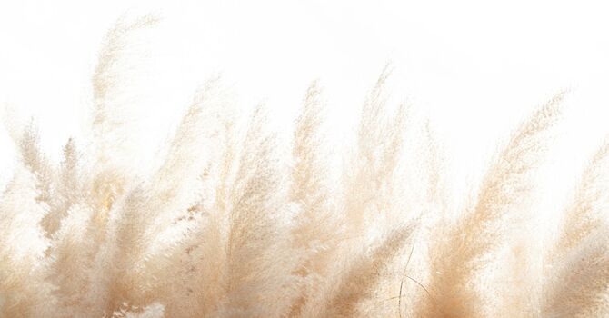 Oklahoma Preconception Counseling