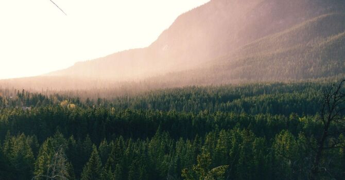 Virginia Preconception Counseling